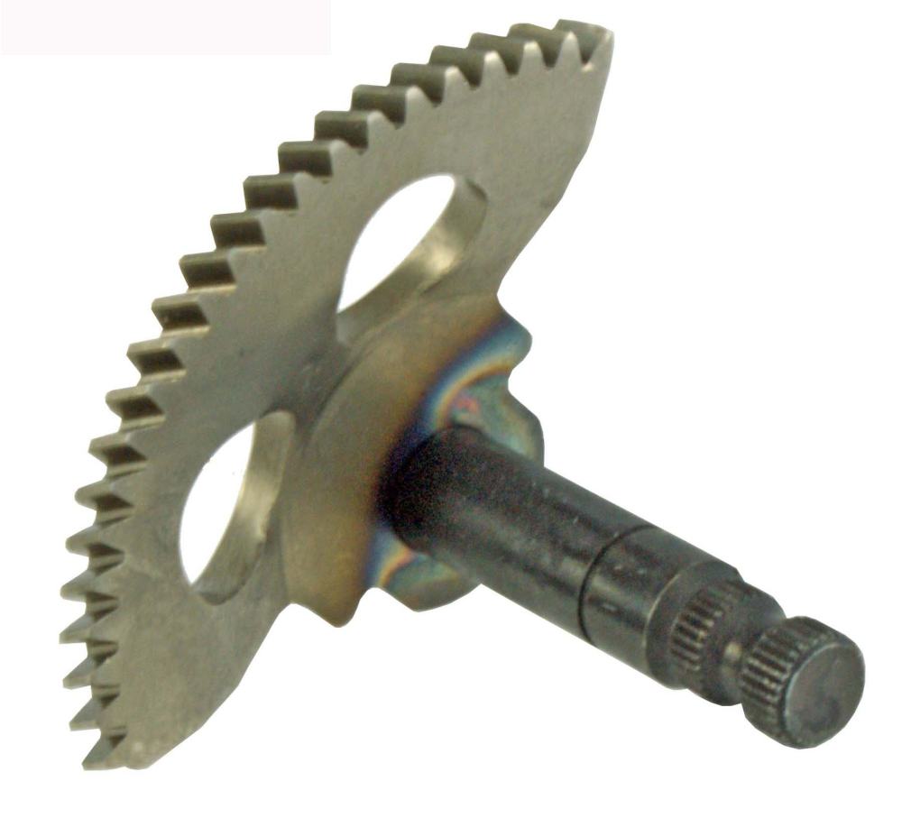 rm100250020_00.jpg